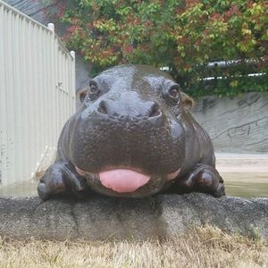 Meet your Posher, Hailey